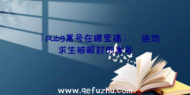 「pubg黑号在哪里搞」|绝地求生被解封的黑号